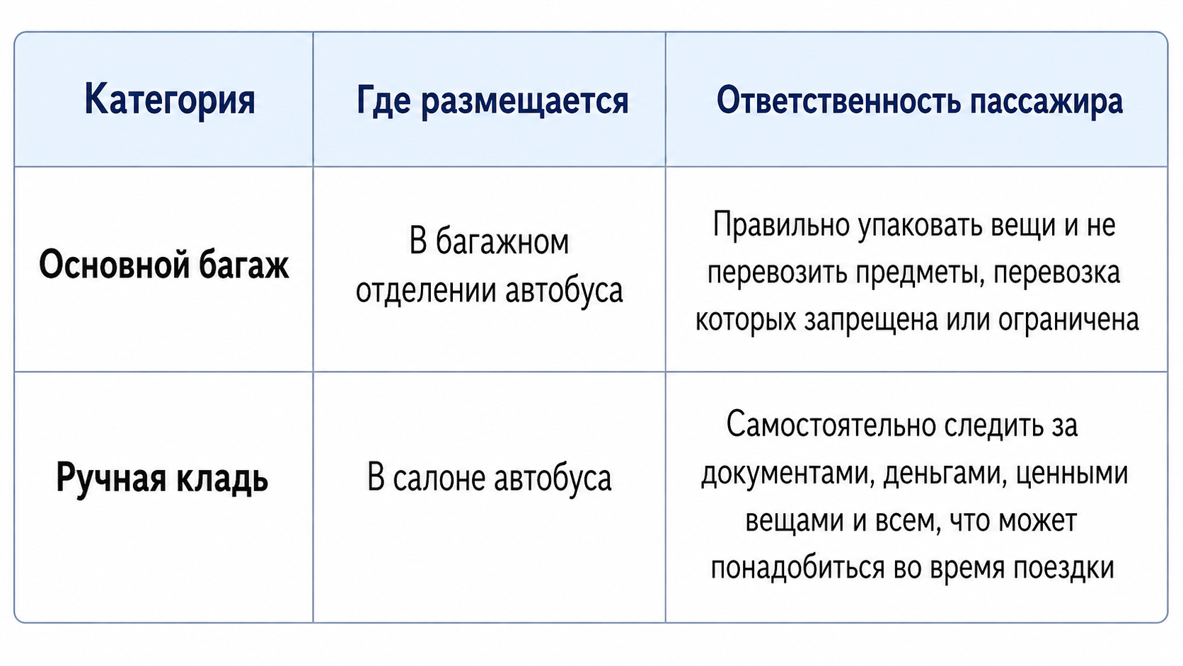 Багаж в международном автобусе: нормы, ручная кладь и доплата